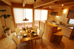 naitoapr2010