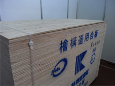kotakeapr2010