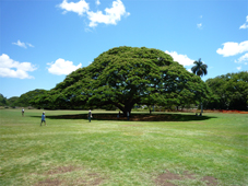 kondoaug2010
