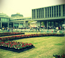 hinomay2011