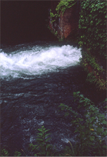 ogino4jun2011