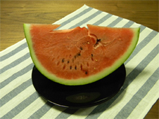 sakaijul2011