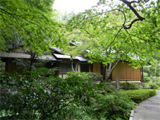 sakai2aug2011
