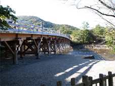 kotake2nov2011