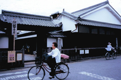 ogino2jul2012