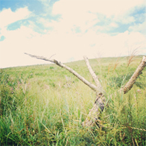 hino2oct2012