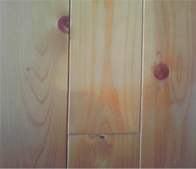 kokubudec2012