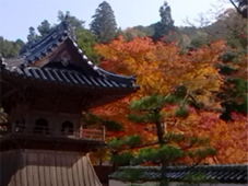 mihara2nov2012