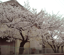 kokubumar2013