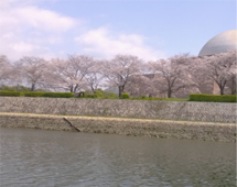 mihara2apr2013