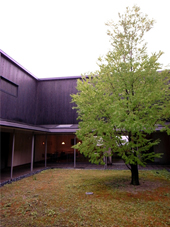 nakamurajul20132