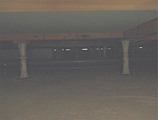 ogino2aug2013