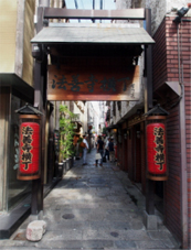 ogino2sep2013